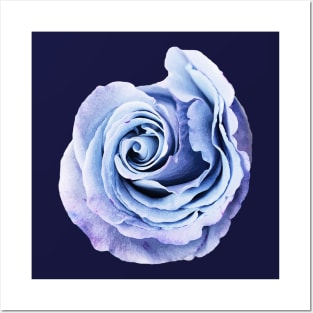 Blue Rose Art Cutout Posters and Art